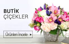 Yalı çiçek   saksı çiçekleri