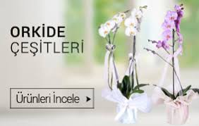 Karşıyaka Alaybey çiçekçiler butik çiçekler