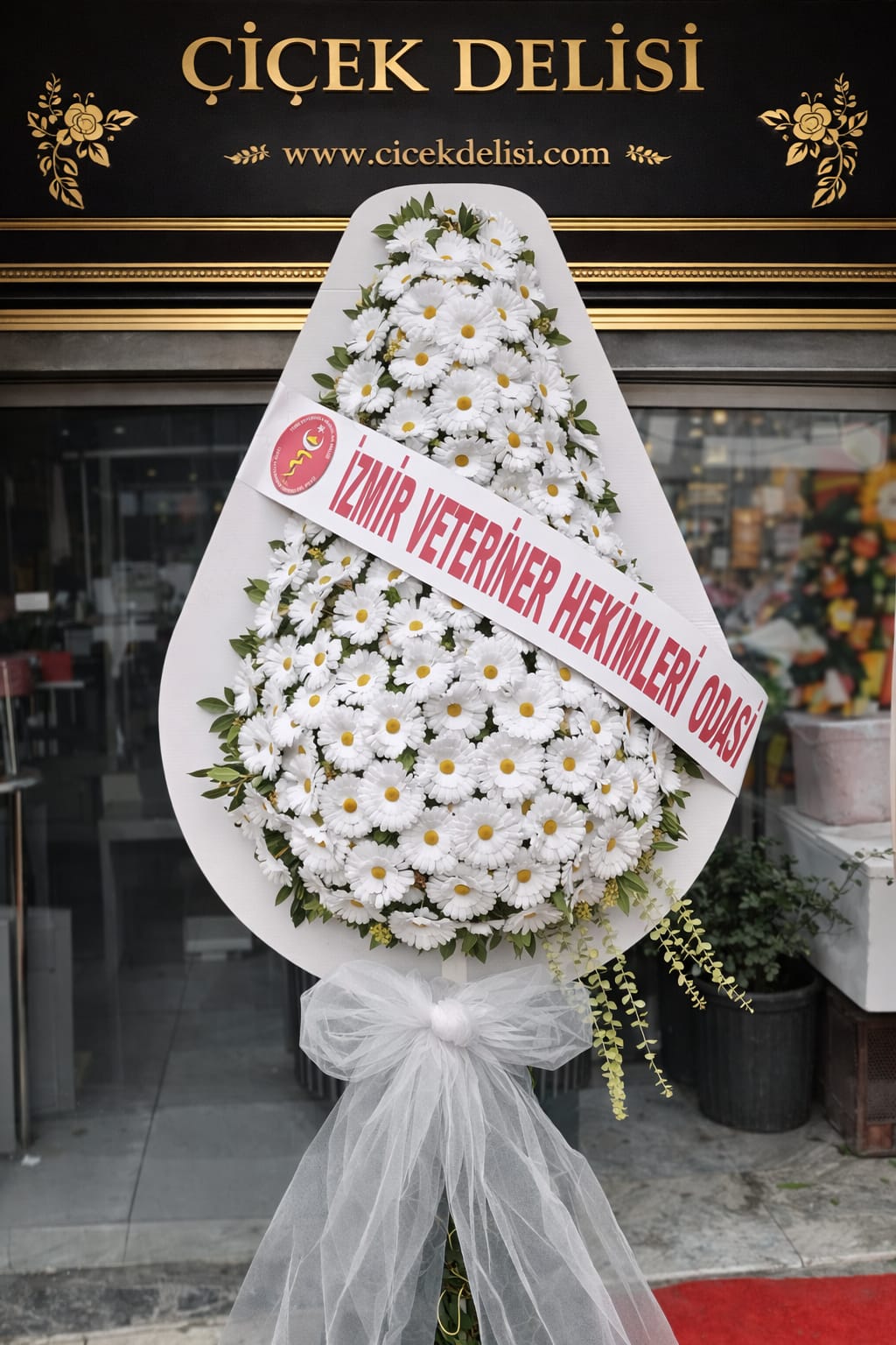 Beyaz Tekli �elenk (Kal�c�)